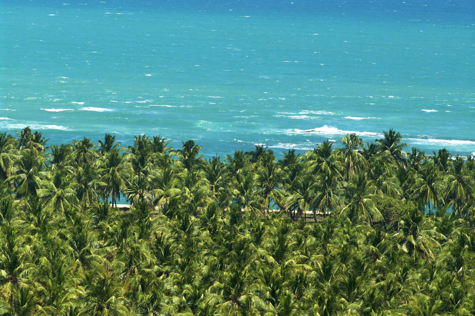 Praia do Gunga - O que fazer, Onde ficar e Quando ir